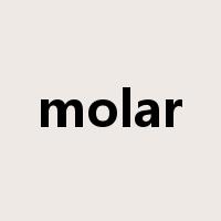molar是什么意思