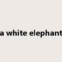 a white elephant是什么意思