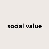 social value是什么意思