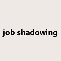job shadowing是什么意思