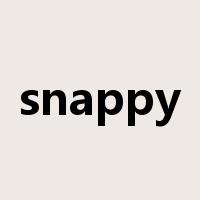 snappy是什么意思