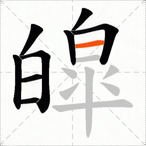 皡