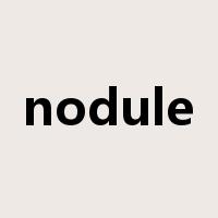nodule是什么意思