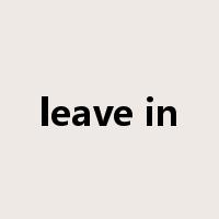 leave in是什么意思