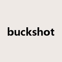 buckshot是什么意思