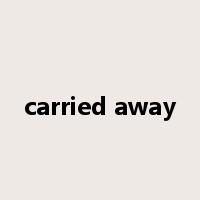 carried away是什么意思