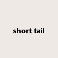 short tail是什么意思