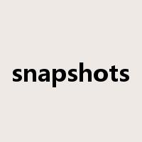 snapshots是什么意思