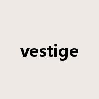 vestige是什么意思