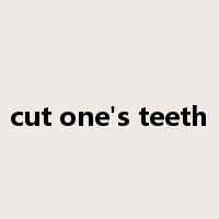 cut one's teeth是什么意思