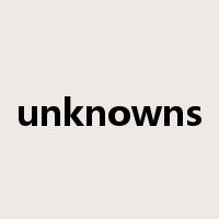 unknowns是什么意思