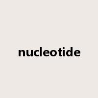 nucleotide是什么意思