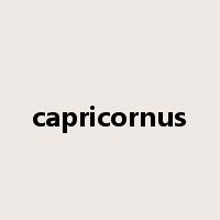 capricornus是什么意思