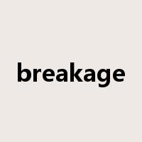 breakage是什么意思
