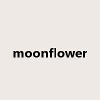 moonflower是什么意思