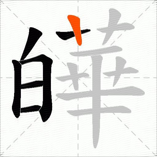 皣