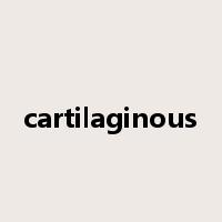 cartilaginous是什么意思