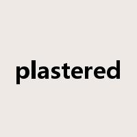 plastered是什么意思