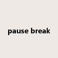 pause break是什么意思