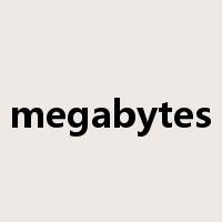 megabytes是什么意思