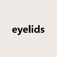 eyelids是什么意思