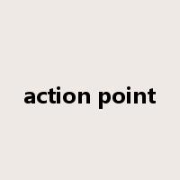 action point是什么意思