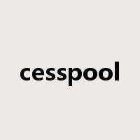 cesspool是什么意思