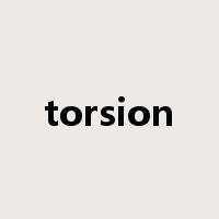 torsion是什么意思