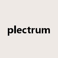 plectrum是什么意思