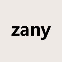 zany是什么意思
