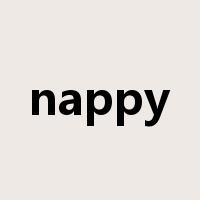 nappy是什么意思