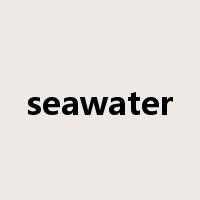 seawater是什么意思