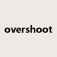 overshoot是什么意思