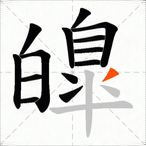 皥