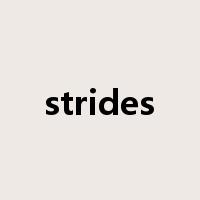 strides是什么意思