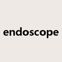 endoscope是什么意思