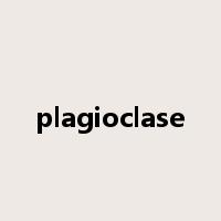 plagioclase是什么意思
