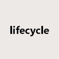lifecycle是什么意思