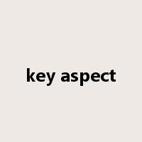 key aspect是什么意思