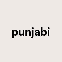 punjabi是什么意思