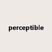 perceptible是什么意思