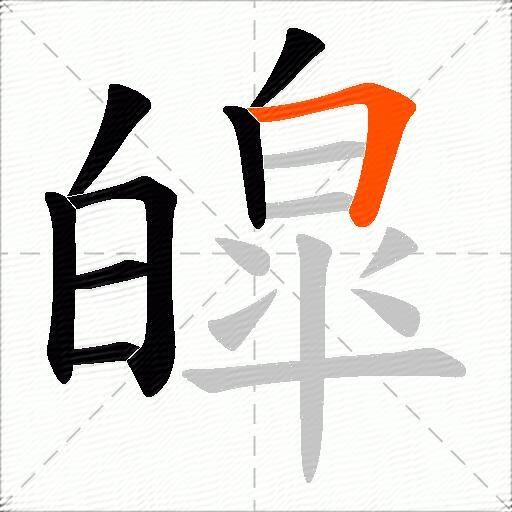 皡