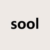 sool是什么意思