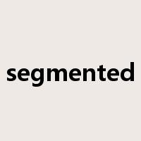 segmented是什么意思