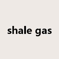 shale gas是什么意思