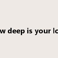how deep is your love是什么意思
