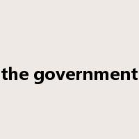 the government是什么意思