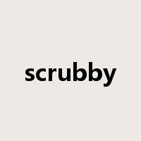 scrubby是什么意思