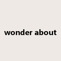 wonder about是什么意思