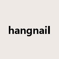 hangnail是什么意思